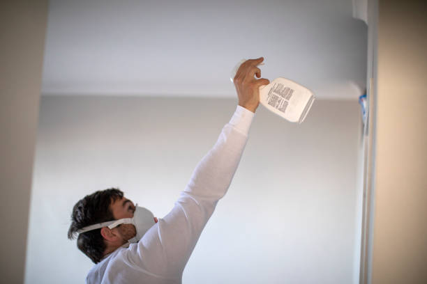 Best Residential Mold Remediation in Mabscott, WV